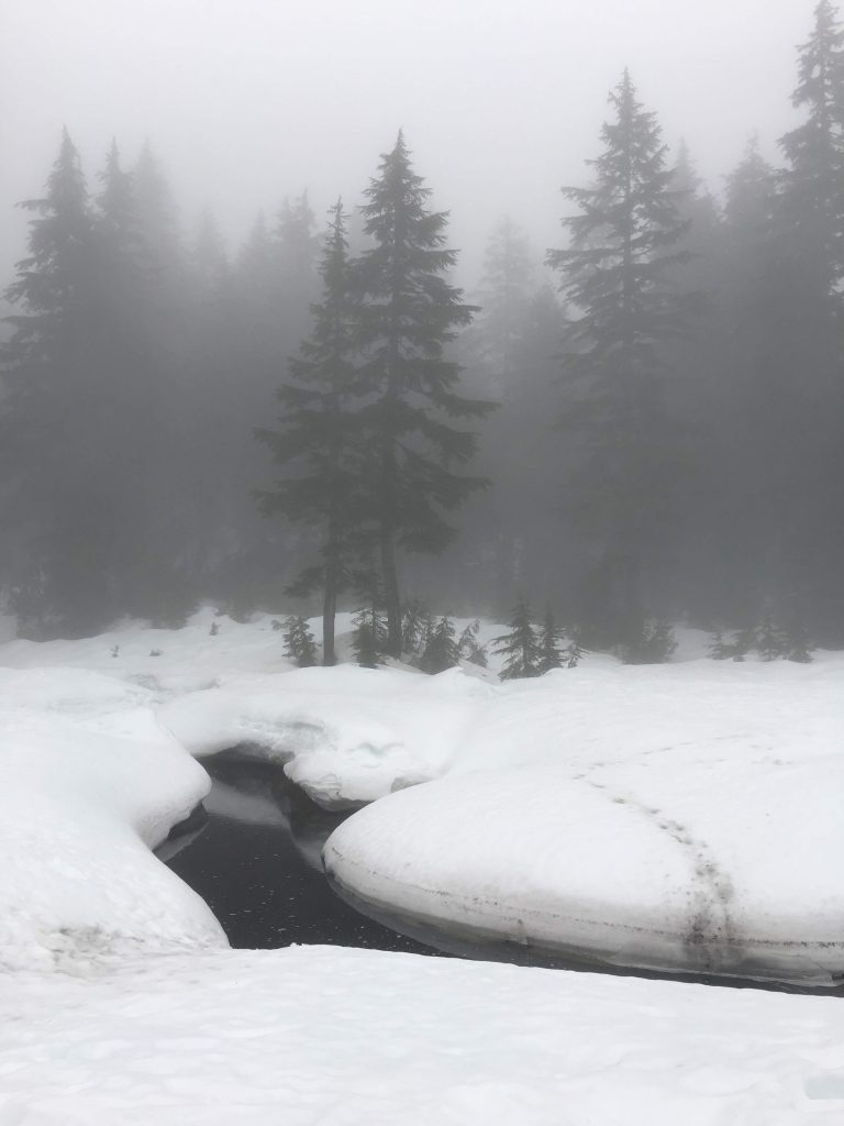 Canada winter scene with snow and a stream and misty trees in the background