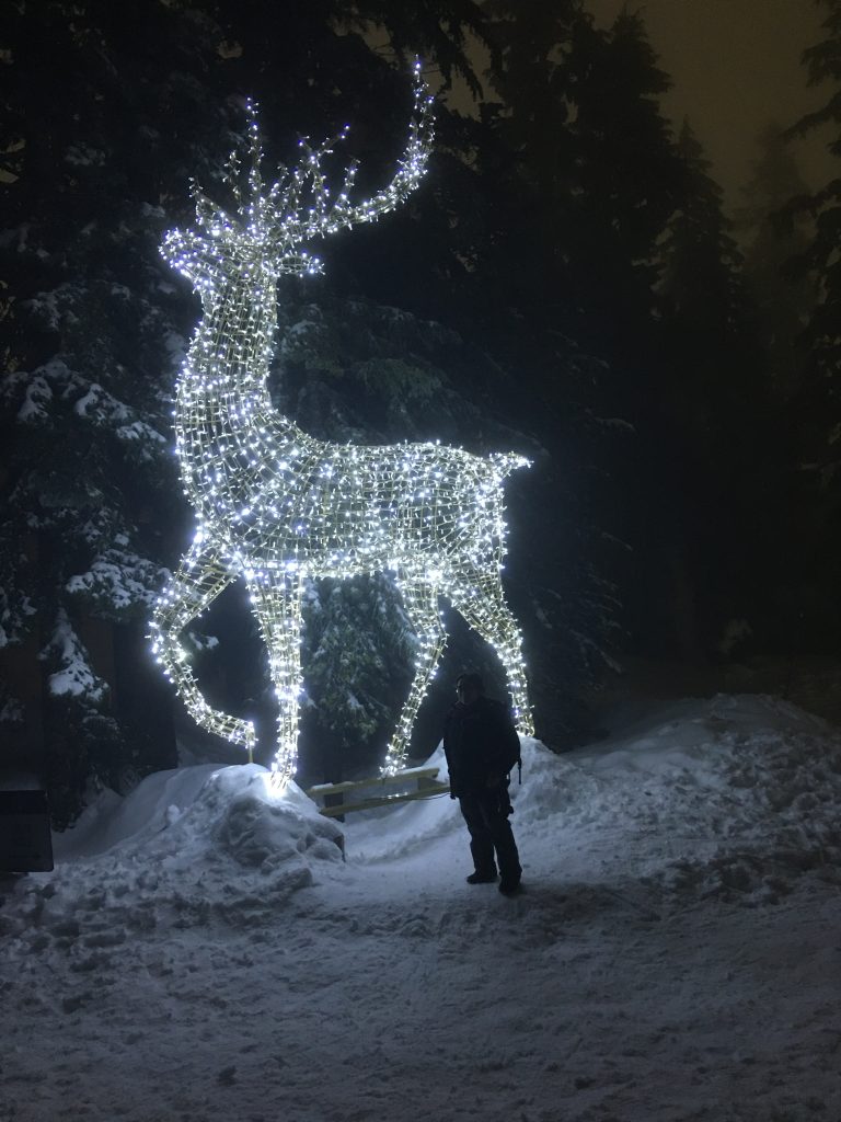 canada winter festival lights
