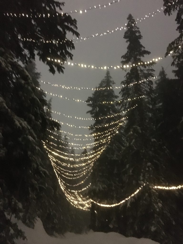 canada winter festival lights