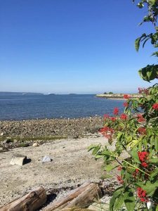 The best secret beaches in Vancouver