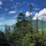 vancouver staycation ideas