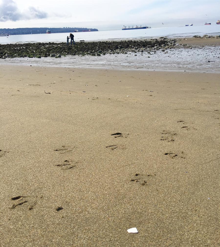 Beaches in West Vancouver