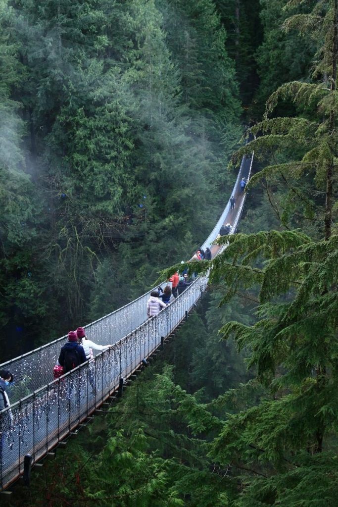 capilano suspension bridge park