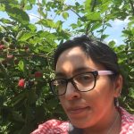 Berry picking in Vancouver