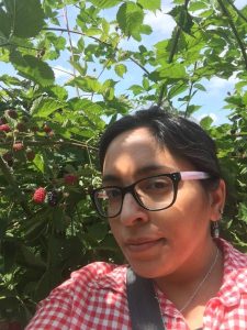 Berry picking in Vancouver