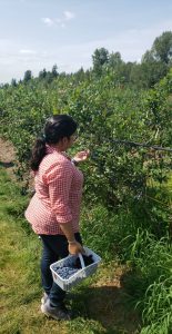 Tazim Berry Picking