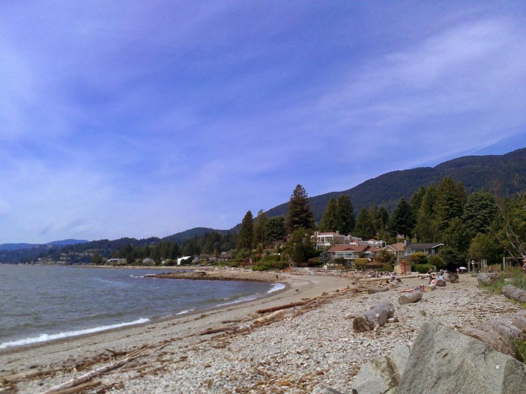 rocky beach with mountains and trees in the background