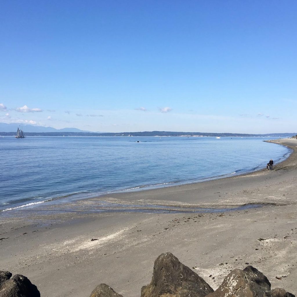 Sandy beachfront area with a sailboat in the distance