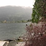 harrison hot springs