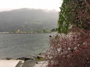 harrison hot springs