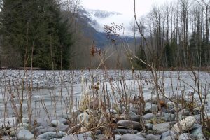 Mamquam River Squamish