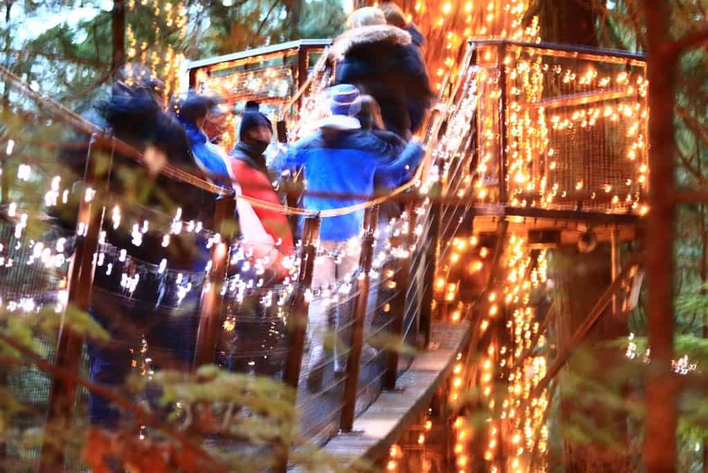 A suspension bridge at Capilano Suspension Bridge Park, adorned with small, sparkling lights, stretches across a lush, forested canyon. Visitors enjoy the breathtaking views among towering evergreens during the Canyon Lights event.