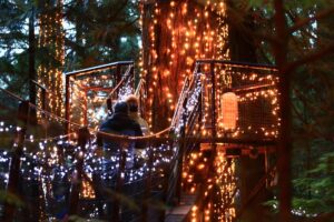 Close-up of glowing lights adorning a suspension bridge at Capilano Suspension Bridge Park, with the magical ambiance of Canyon Lights shining through the dark forest.