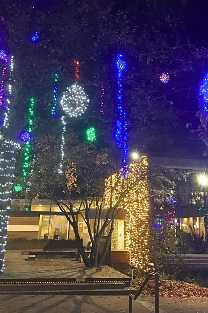 A city hall plaza adorned with colorful Christmas lights on trees, including hanging orbs and vibrant blue and white strands.