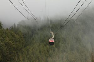 A scenic gondola ride through dense forest and mist, showcasing the iconic Grouse Mountain Skyride cable car surrounded by towering evergreens.