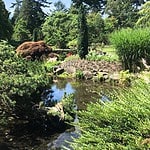 A vibrant garden with neatly arranged succulents, shrubs, and plants in shades of red, yellow, and green. This reflects the lush, landscaped beauty visitors can enjoy during Vancouver's fall season.