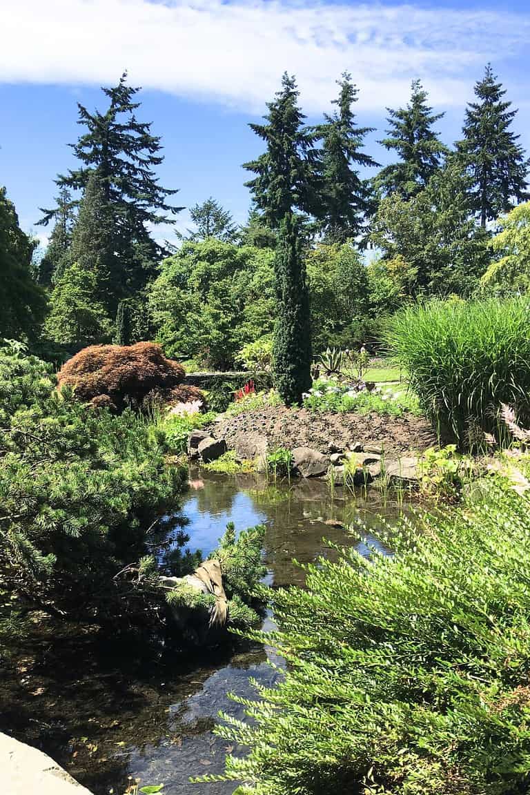 A vibrant garden with neatly arranged succulents, shrubs, and plants in shades of red, yellow, and green. This reflects the lush, landscaped beauty visitors can enjoy during Vancouver's fall season.