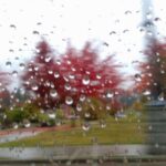 Rain on a window with fall trees in the background.