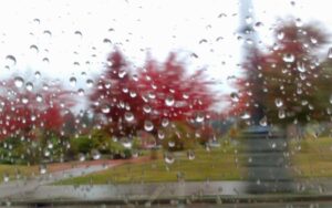 Rain on a window with fall trees in the background.