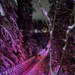A forest of snow-covered trees, with a glowing suspension bridge bathed in pink light winding through the background, showcasing the ethereal beauty of the Love Lights event.