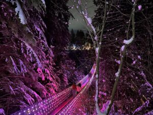 A forest of snow-covered trees, with a glowing suspension bridge bathed in pink light winding through the background, showcasing the ethereal beauty of the Love Lights event.