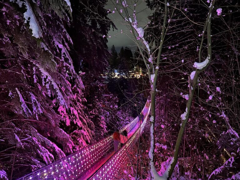 A forest of snow-covered trees, with a glowing suspension bridge bathed in pink light winding through the background, showcasing the ethereal beauty of the Love Lights event.