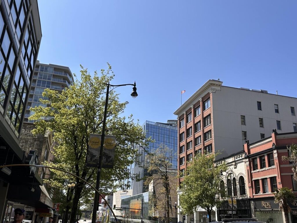 A sunny street view in downtown New Westminster, with leafy trees, historic brick buildings, and modern glass towers under a clear sky. Captures the blend of old charm and new energy that defines the downtown area.