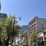 A sunny street view in downtown New Westminster, with leafy trees, historic brick buildings, and modern glass towers under a clear sky. Captures the blend of old charm and new energy that defines the downtown area.