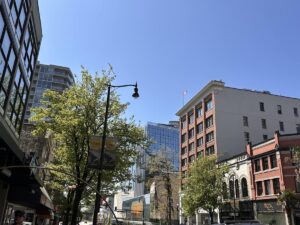 A sunny street view in downtown New Westminster, with leafy trees, historic brick buildings, and modern glass towers under a clear sky. Captures the blend of old charm and new energy that defines the downtown area.