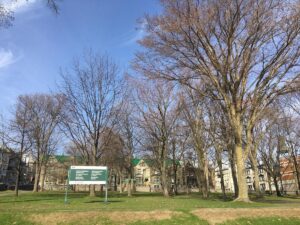 A wide green park in Qu&eacute;bec City near Ch&acirc;teau Frontenac, with a sign pointing to nearby historical sites and leafless trees under a clear sky.