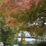 Woman in a long camel coat, layered scarf, gloves, and headband sits among fallen leaves in Vancouver&rsquo;s autumn parks&mdash;great inspiration for what to wear in Vancouver in September.