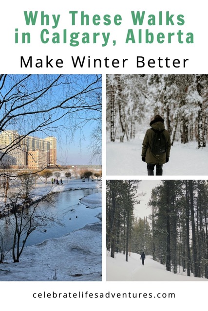 5 Easy Winter Walks in Calgary