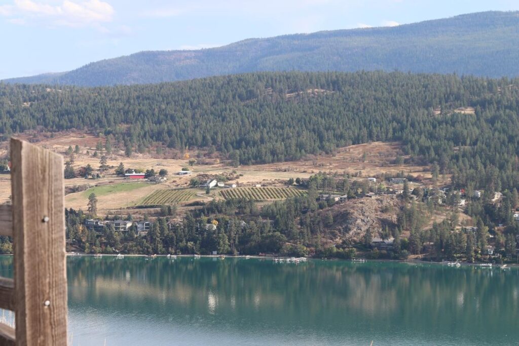 Elevated view of Kalamalka Lake with reflections of pine-covered hills and vineyard-dotted farmland in Vernon, BC