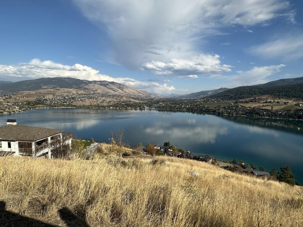Tall golden grass in the foreground leads down to the glassy blue surface of Kalamalka Lake, with Vernon&rsquo;s residential areas across the water.