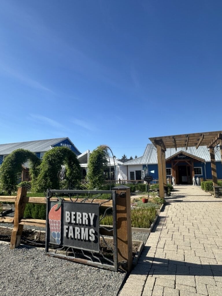 Garden path with shaped topiary hedges leading toward blue farm buildings and a wooden pergola entrance at Krause Berry Farms in Langley BC under a clear blue sky