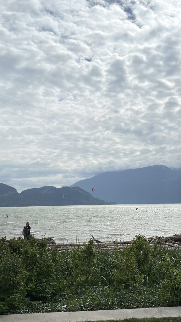 Howe Sound, kiteboarders, shoreline plants, and mountains seen from Sp'&aacute;kw'us Feather Park in Squamish, BC, a slow travel and birdwatching stop.