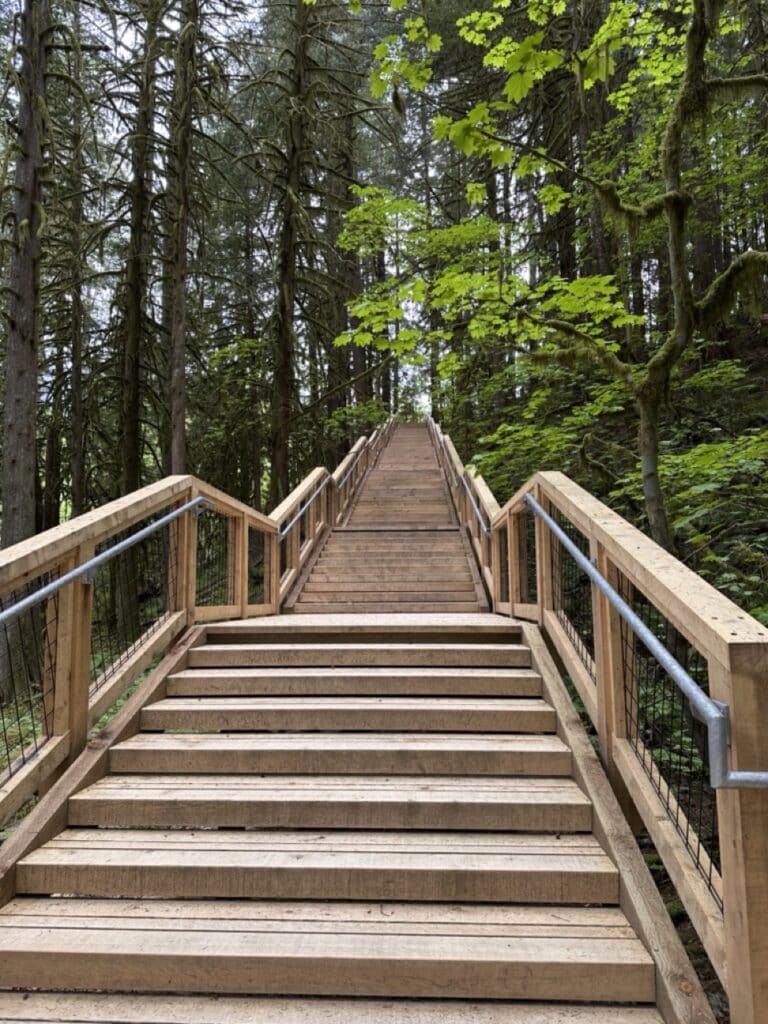 Long wooden staircase ascending through the forest at Squamish Canyon, Squamish BC, Canada. Photo by Tazim Damji.