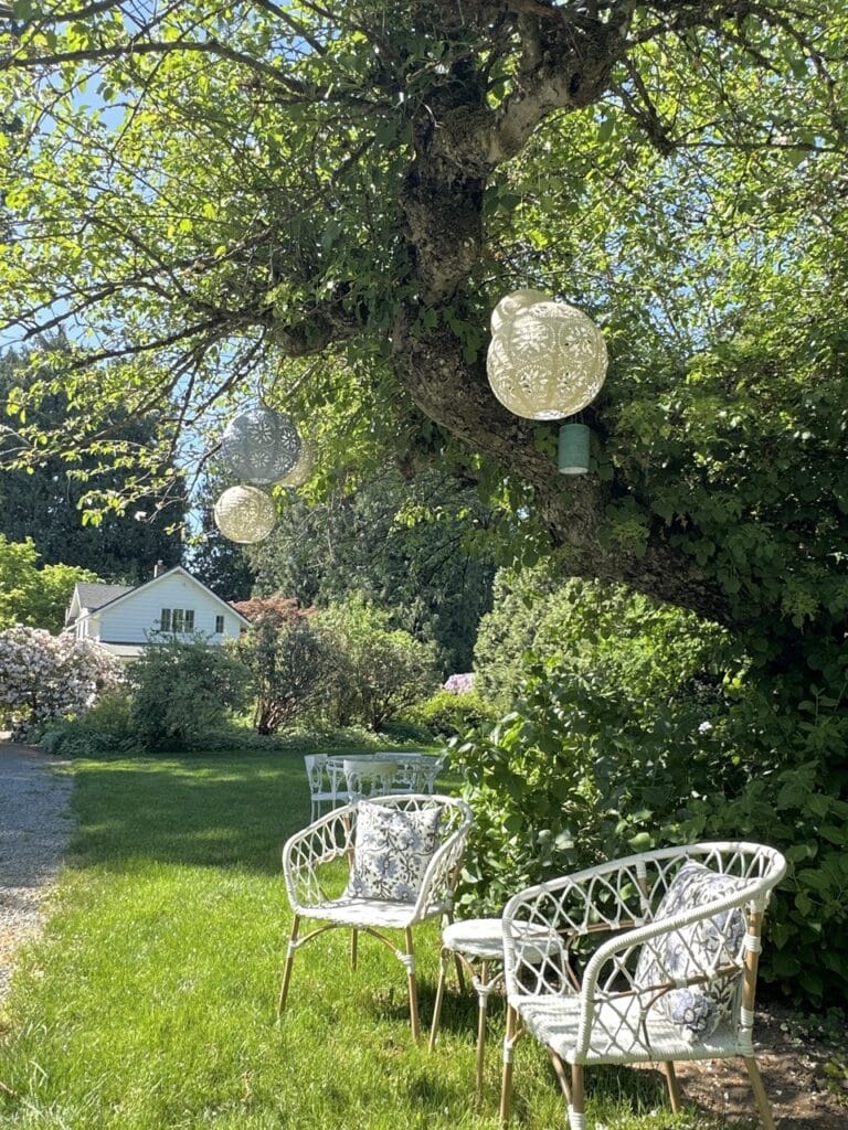 White wicker garden chairs with floral cushions on a green lawn under a large tree hung with lace lanterns at Tuscan Farm Gardens in Abbotsford BC