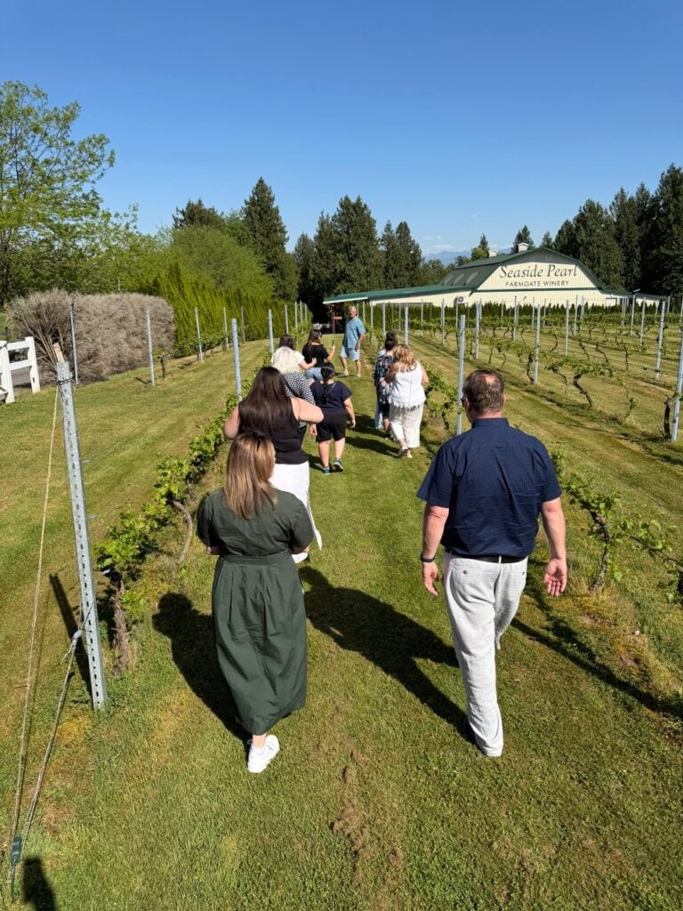 Group of visitors walking through grapevine rows at Seaside Pearl Farmgate Winery in Abbotsford BC on a guided vineyard tour in late afternoon light