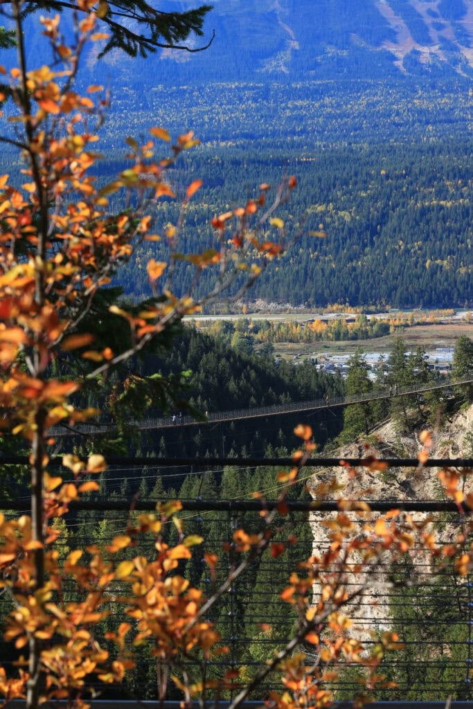 Distant view of a Golden Skybridge suspension bridge crossing a forested canyon near Golden, BC, framed by orange fall leaves.