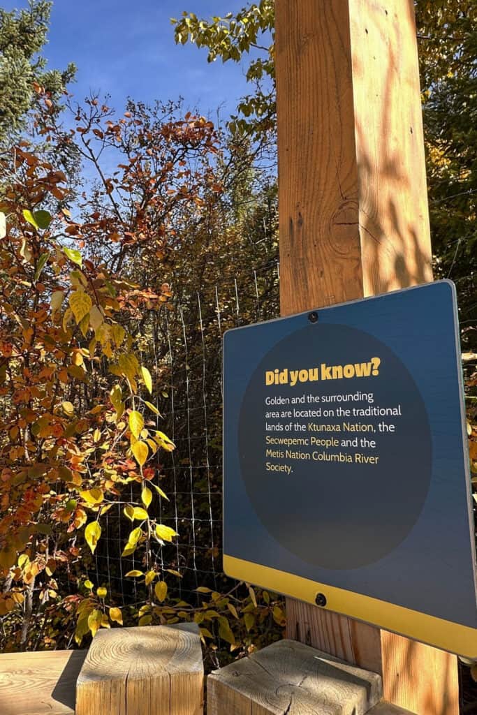 An interpretive sign at Golden Skybridge in Golden, BC, acknowledges the traditional lands of the Ktunaxa Nation, Secw&eacute;pemc People and M&eacute;tis Nation Columbia River Society. The sign stands beside a wooden railing surrounded by autumn foliage.