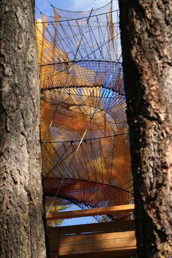 Colourful elevated netting at Golden Skybridge's Eagle Net Park stretches between tall forest trees, with orange, yellow and blue sections visible through the trunks. The attraction features suspended netted play areas high above the forest floor.