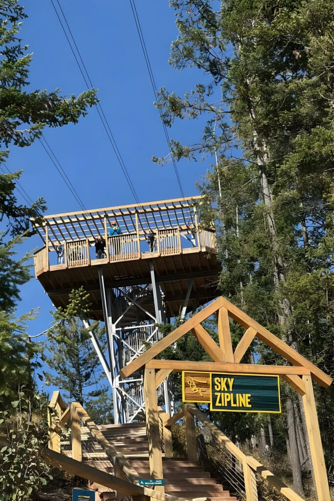 The Sky Zipline launch platform rises above a wooden staircase and forested hillside at Golden Skybridge in British Columbia. Several visitors stand on the elevated platform beneath the overhead zipline cables, preparing for the ride across the canyon.