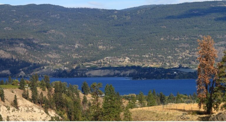 s near Summerland BC. Evergreen trees dot the foreground while a mountain range stretches across the opposite shore.