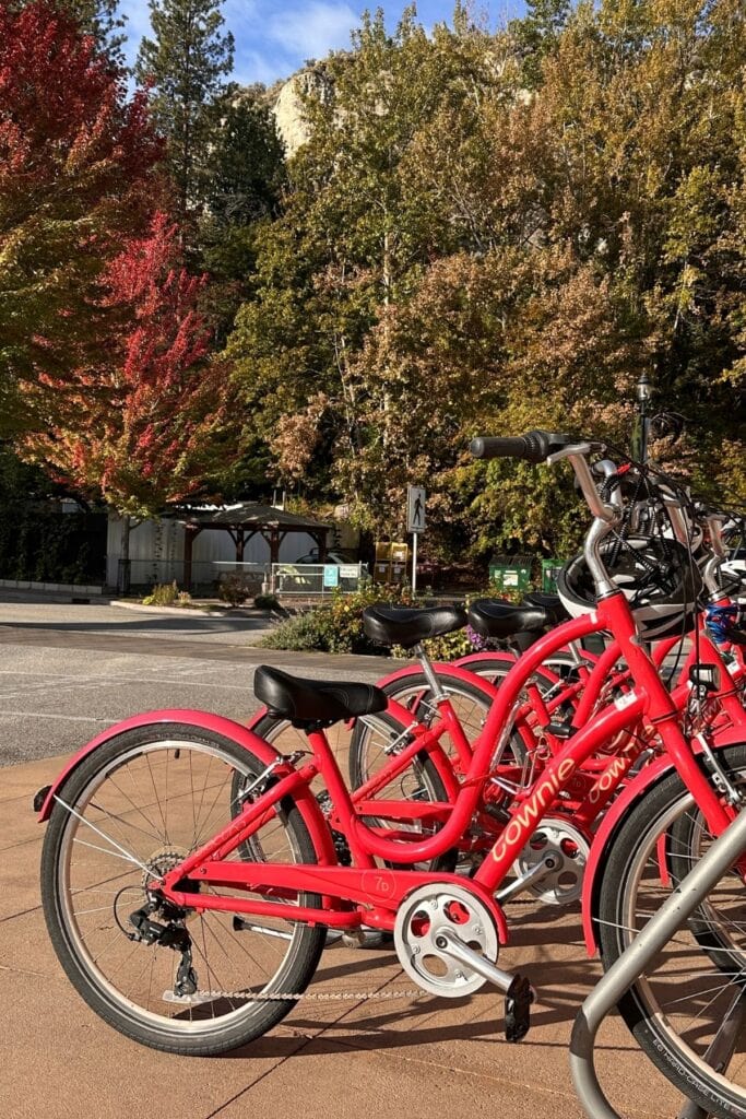 Several bright red Cowrie cruiser bicycles parked together on a sunny paved area surrounded by trees with autumn foliage. The bicycles have black saddles and silver handlebars with the word "Cowrie" printed on their frames.