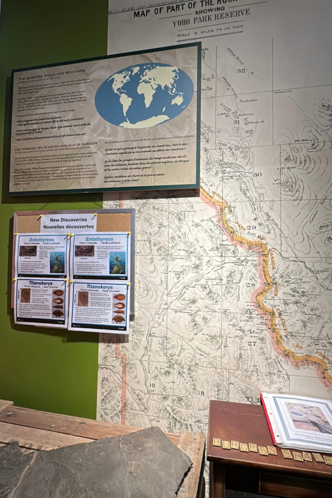Burgess Shale fossil display at the Yoho National Park Visitor Centre in Field, BC, featuring a historic map, fossil illustrations and interpretive panels.