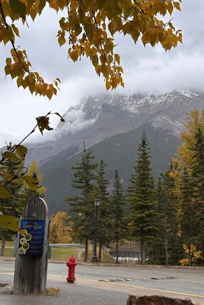 Yellow autumn leaves framing cloud-covered Rocky Mountain peaks near the Yoho National Park Visitor Centre in Field, BC.